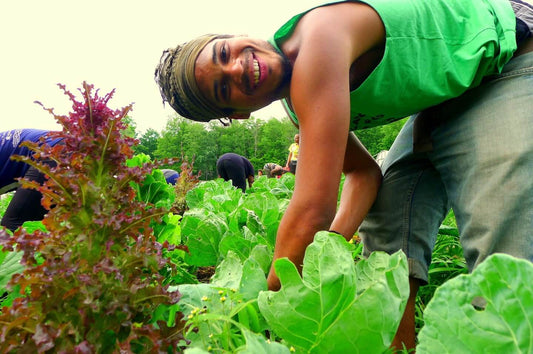 Working on the farm at Soul Fire Farm. Photo credit: Soul Fire