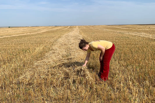 Sam visits the farm where our organic gluten-free oats are grown