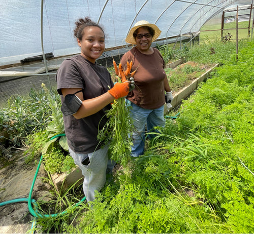 Farm Alliance of Baltimore, MD