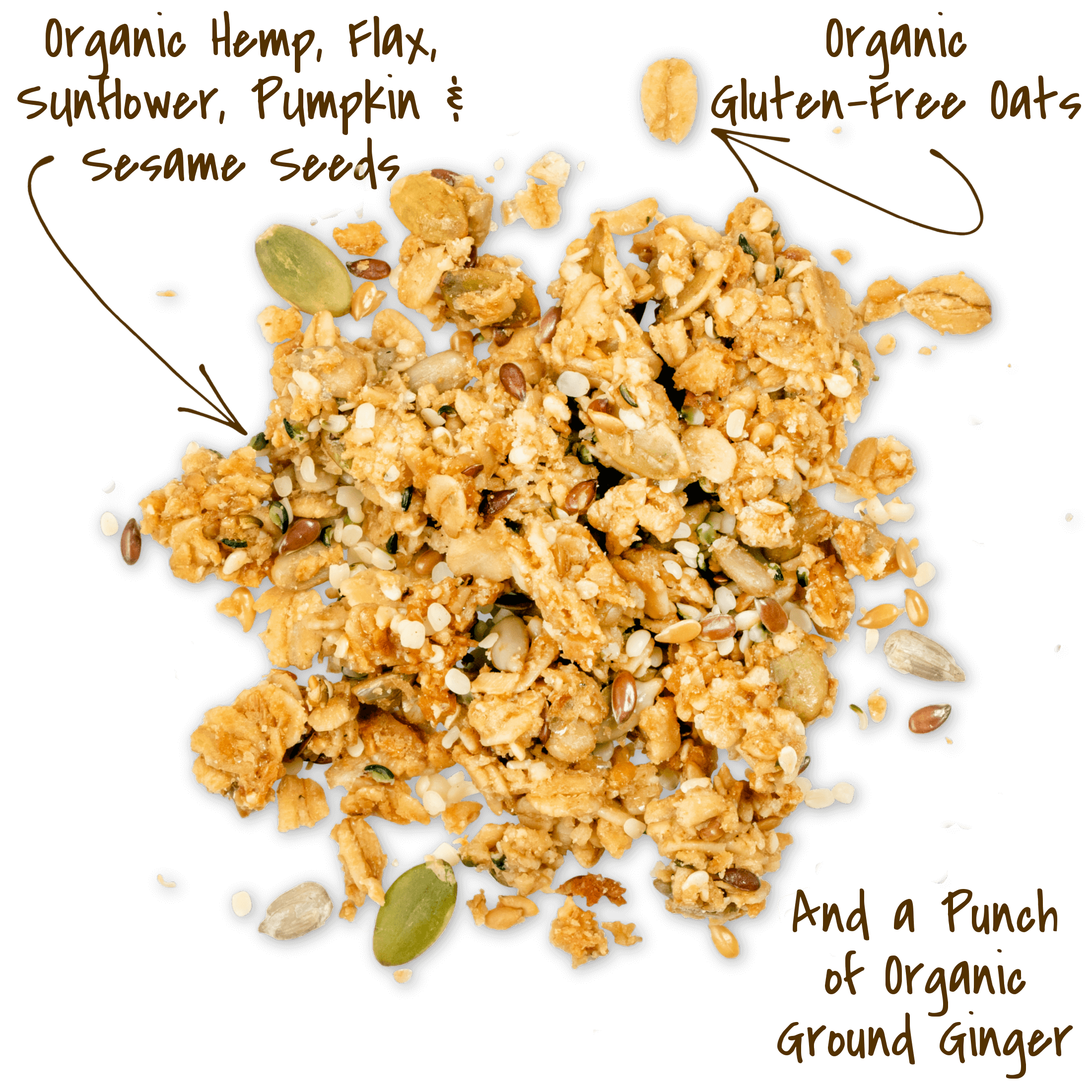 Michele's Ginger Hemp Granola cluster