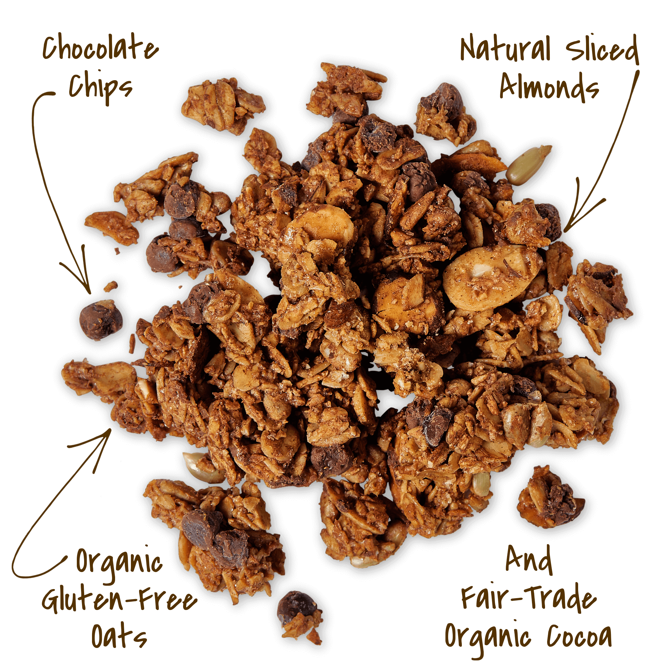 Michele's Cocoa Chocoate Chip Granola cluster