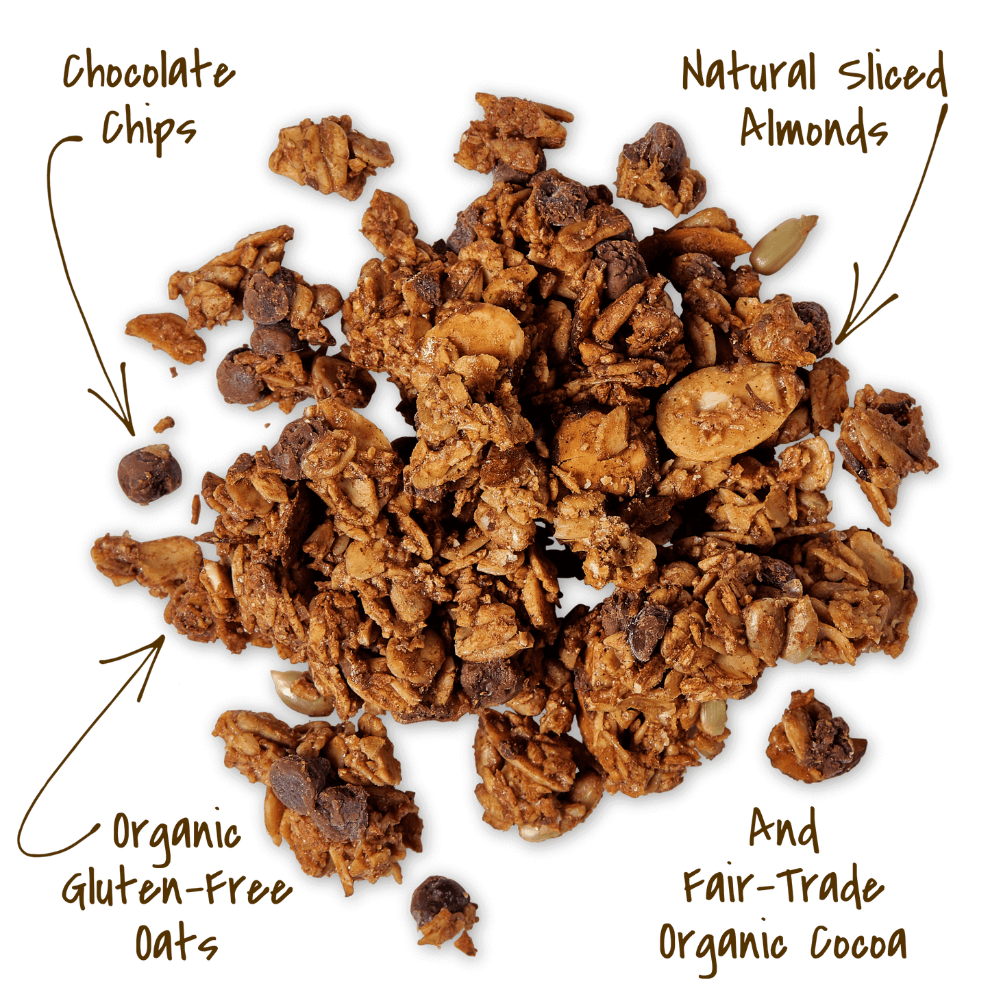 Michele's Cocoa Chocoate Chip Granola cluster