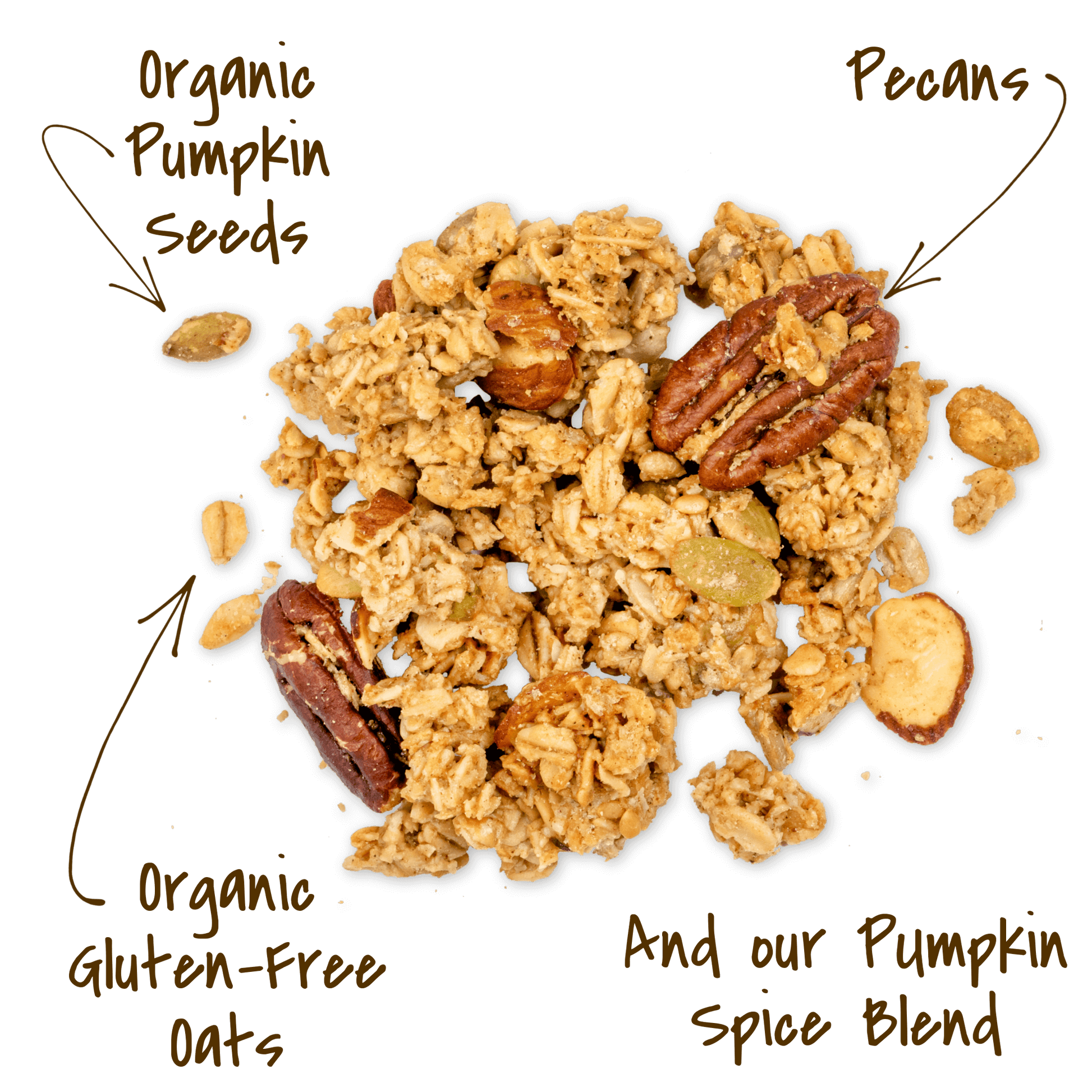Michele's Pumpkin Spice Granola cluster