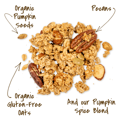 Michele's Pumpkin Spice Granola cluster