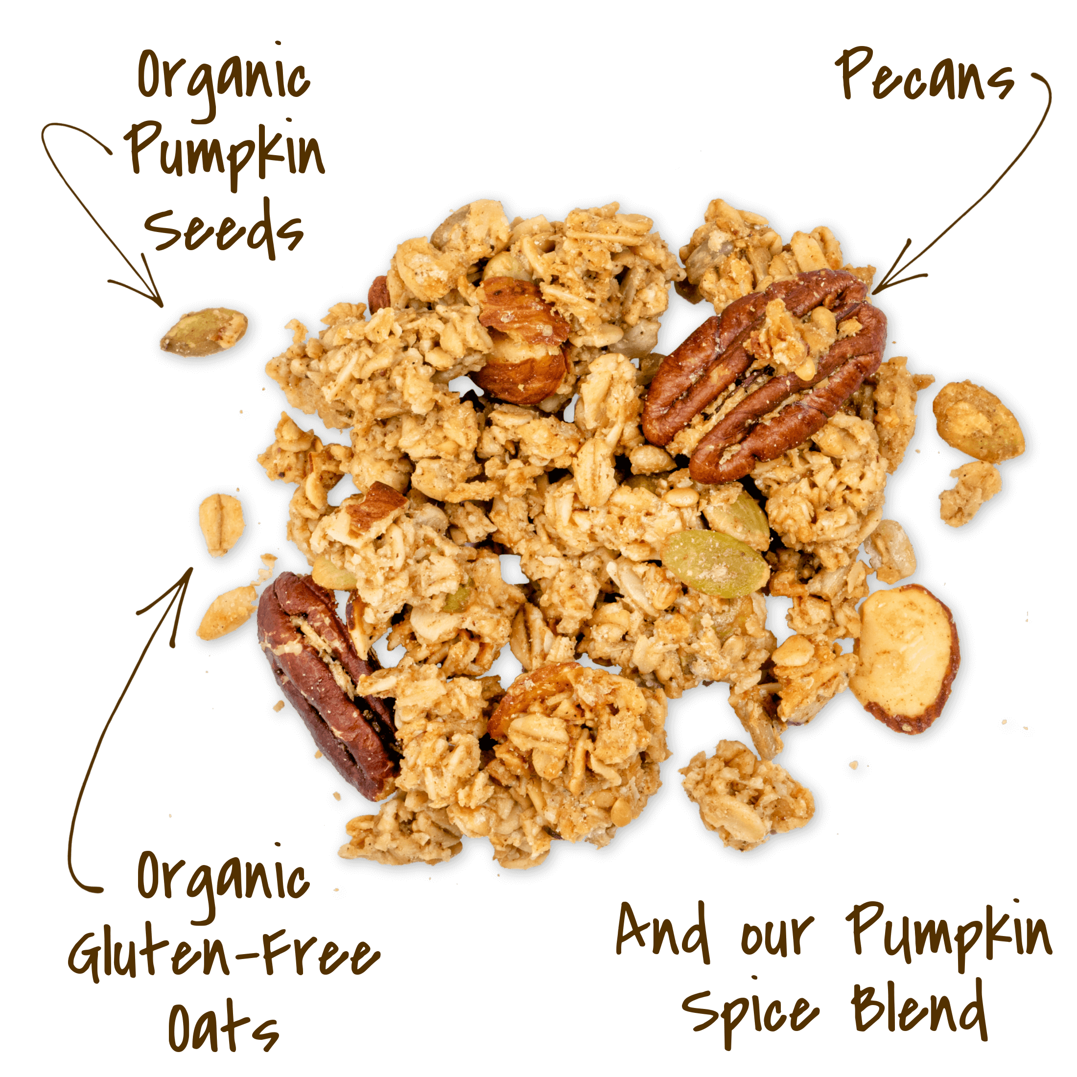 Michele's Pumpkin Spice Granola cluster