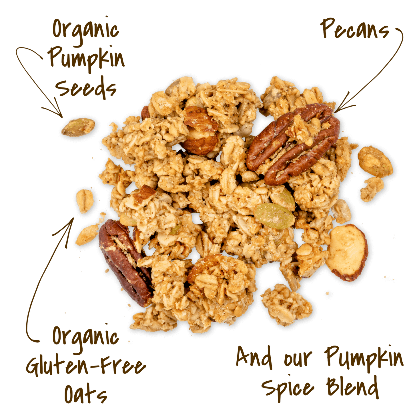 Michele's Pumpkin Spice Granola cluster